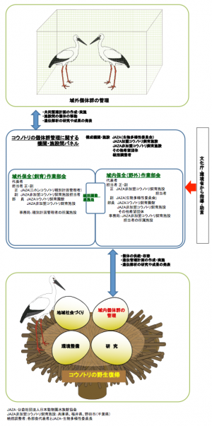 （図1）コウノトリの個体群管理に関する機関・施設間パネル