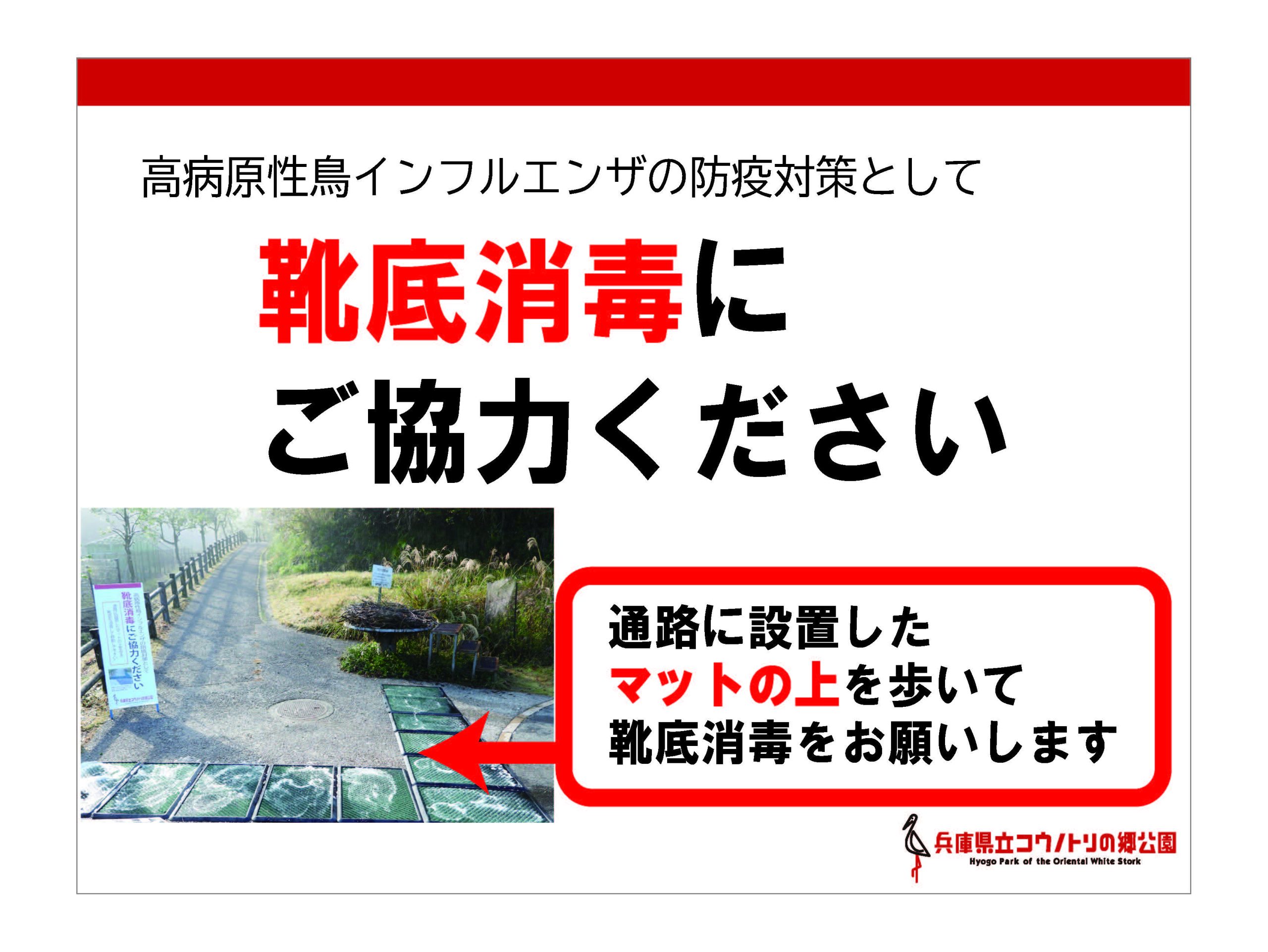 高病原性鳥インフルエンザの防疫対策について
