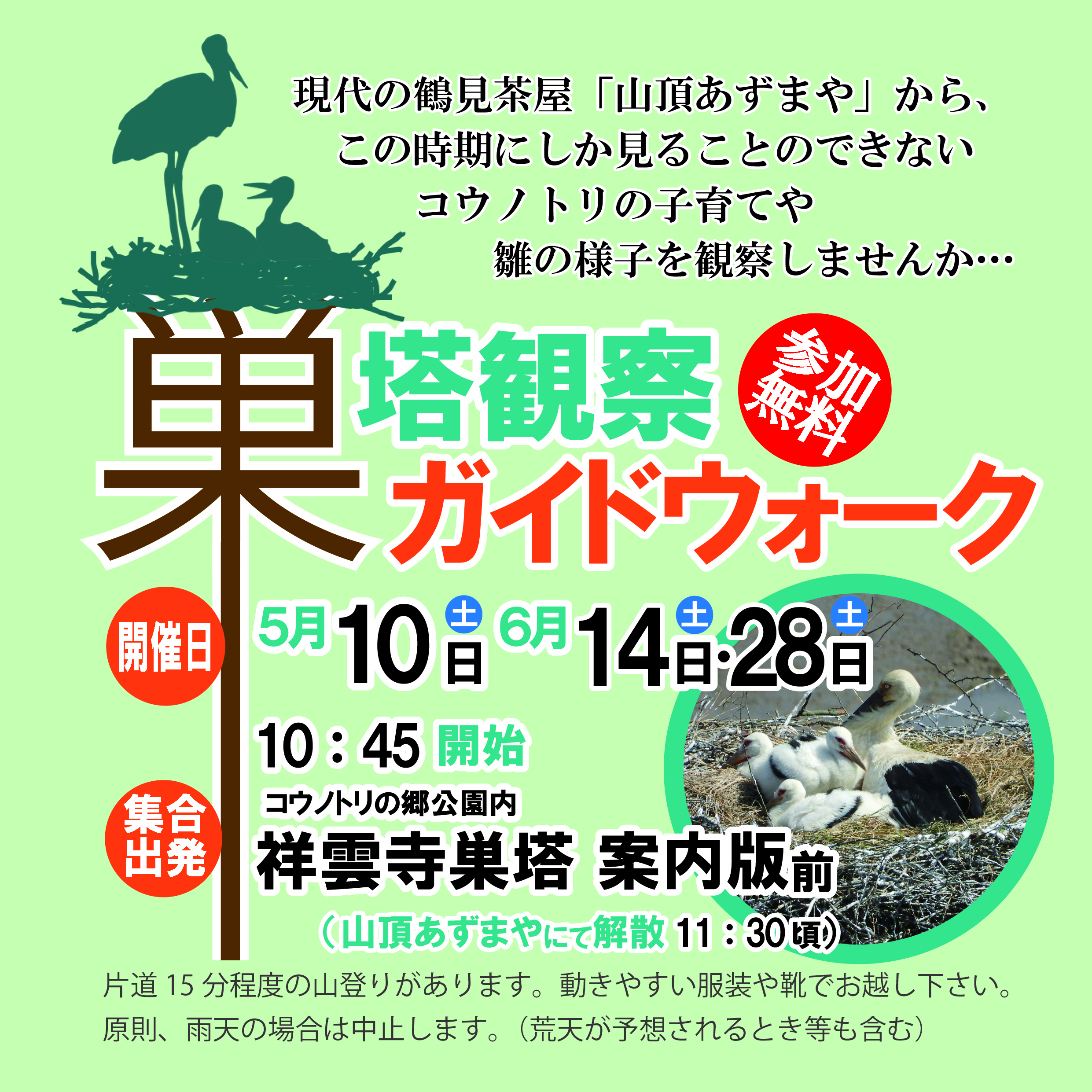 現代の”鶴見茶屋”から コウノトリの子育てを覗いてみませんか...「巣塔観察ガイドウォーク」を実施