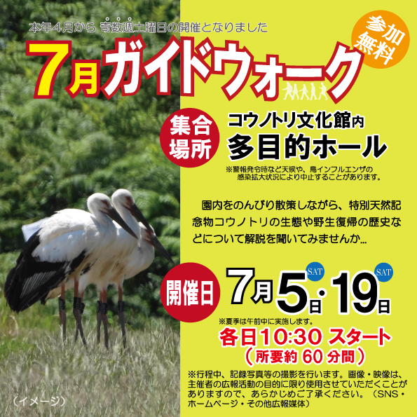 ７月のガイドウォーク