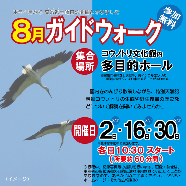 ８月のガイドウォーク