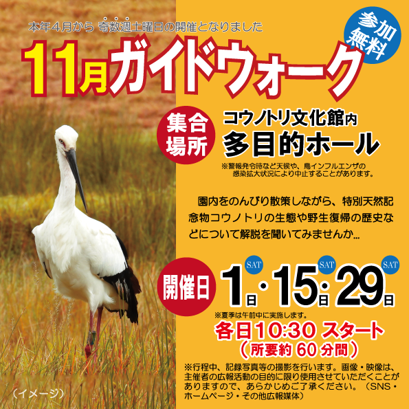 11月の土曜ガイドウォーク