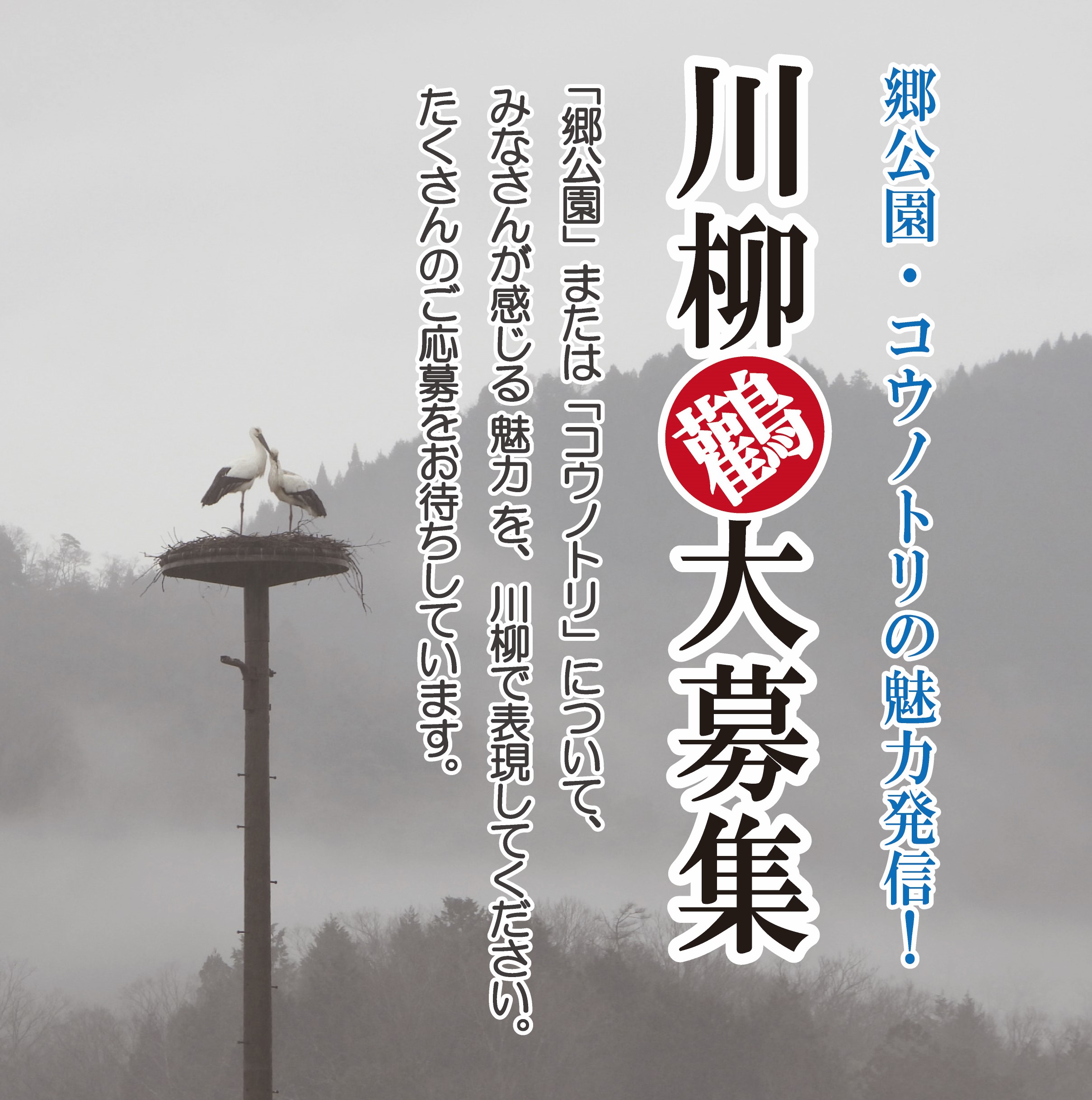 『川柳』で郷公園やコウノトリの魅力発信！